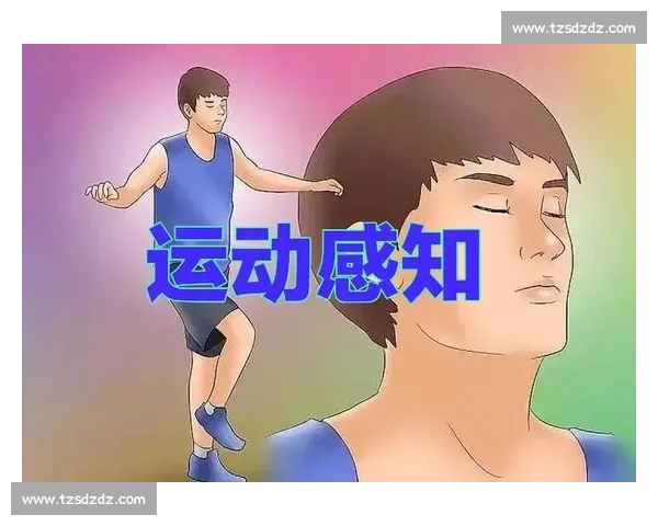 体育训练负荷管理与运动表现优化策略研究与实践探索